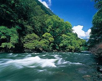 种田游戏《世蛙桃源》上市预告 登陆PC＆NS＆Xbox